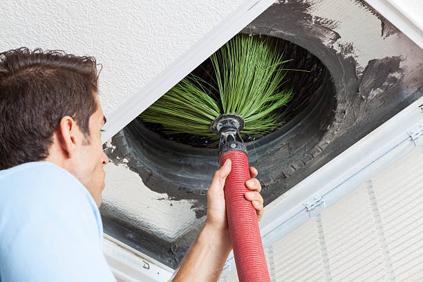 Best Home Air Vent Cleaning  in Elbow Lake, MN
